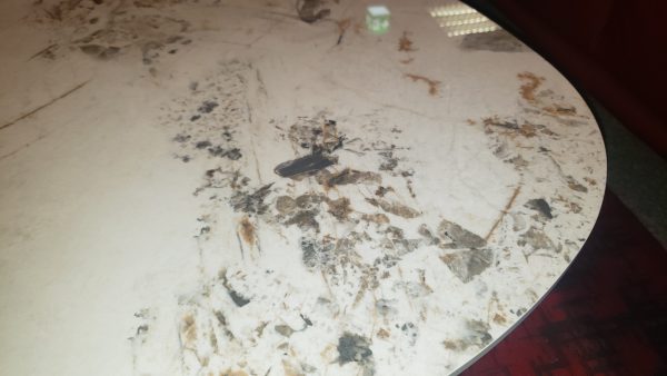 Couchtisch Silverstone – Bild 2