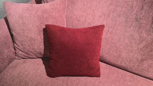Vanilla – Bild 5